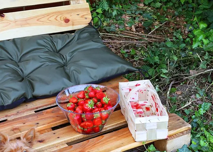 Kemping Biwak Bajlando *