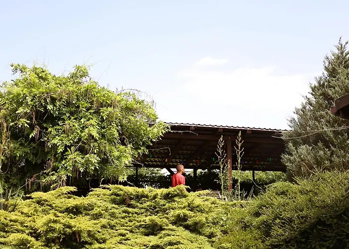 Biwak Bajlando Kemping Wrocław