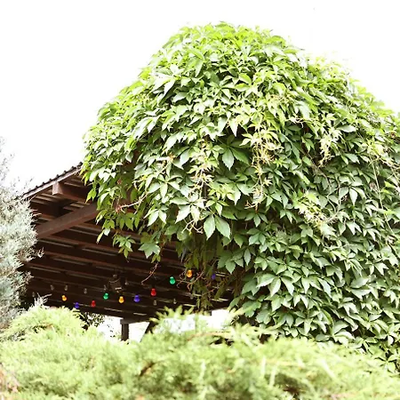 Kemping Biwak Bajlando *