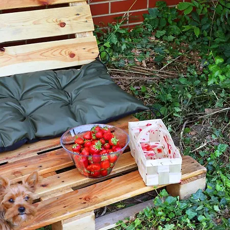 مكان تخييم Biwak Bajlando *