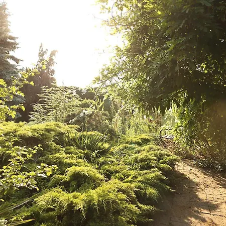 مكان تخييم Biwak Bajlando *