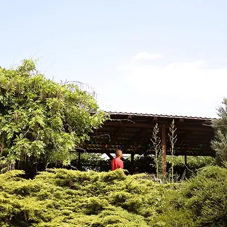 Biwak Bajlando مكان تخييم فروتسواف