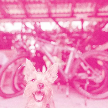 مكان تخييم Biwak Bajlando *