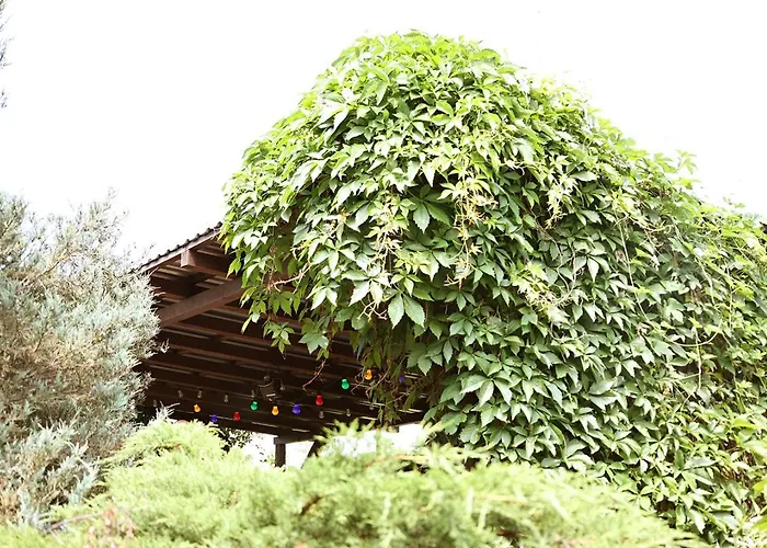 Kemping Biwak Bajlando *