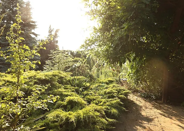 Kemping Biwak Bajlando *